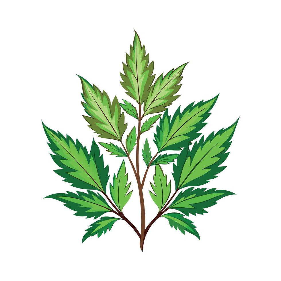 Realistic Beautiful Herbs Illustration vector