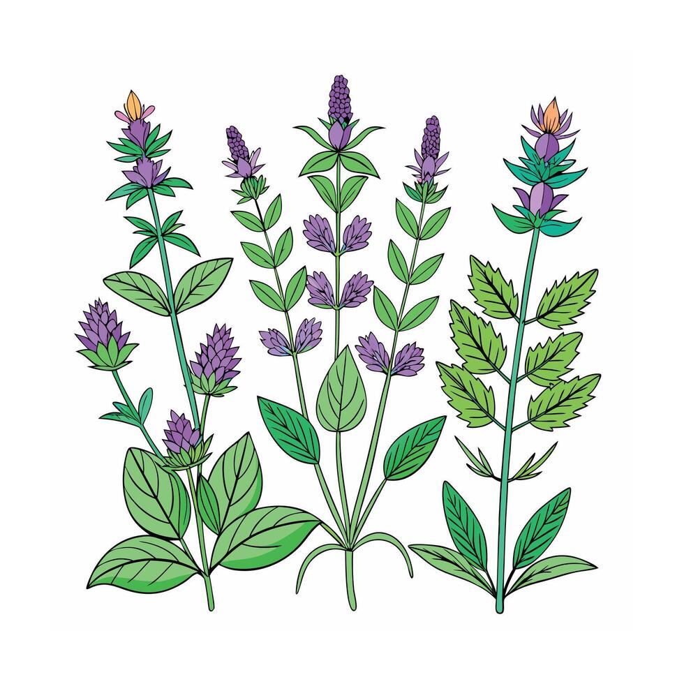 Realistic Beautiful Herbs Illustration vector