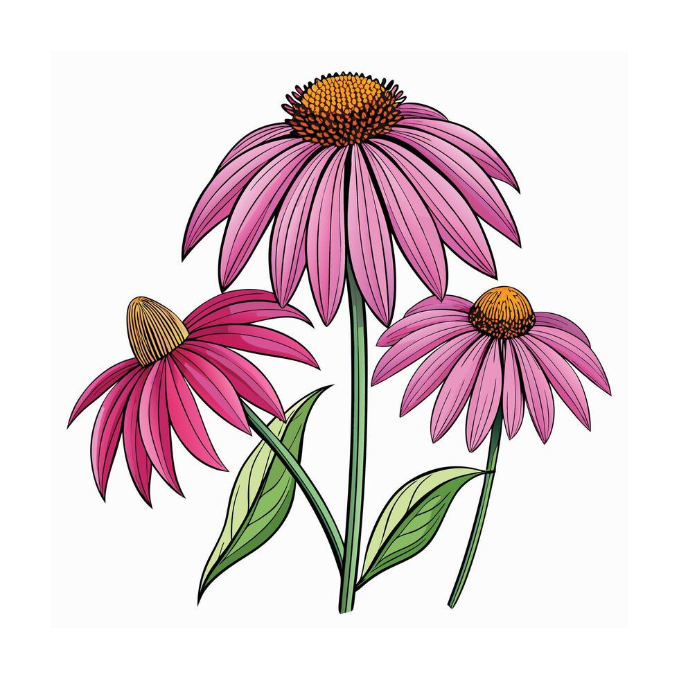 Realistic Beautiful Herbs Illustration vector