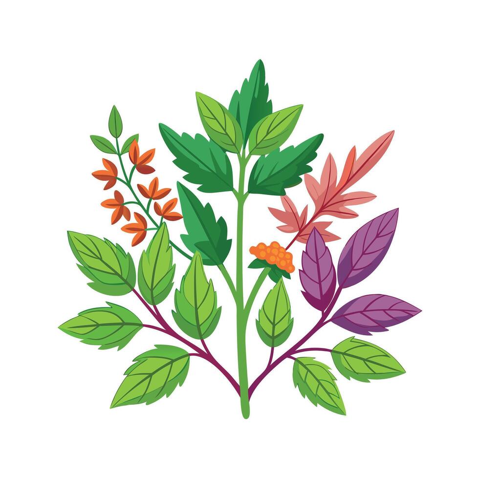 Realistic Beautiful Herbs Illustration vector