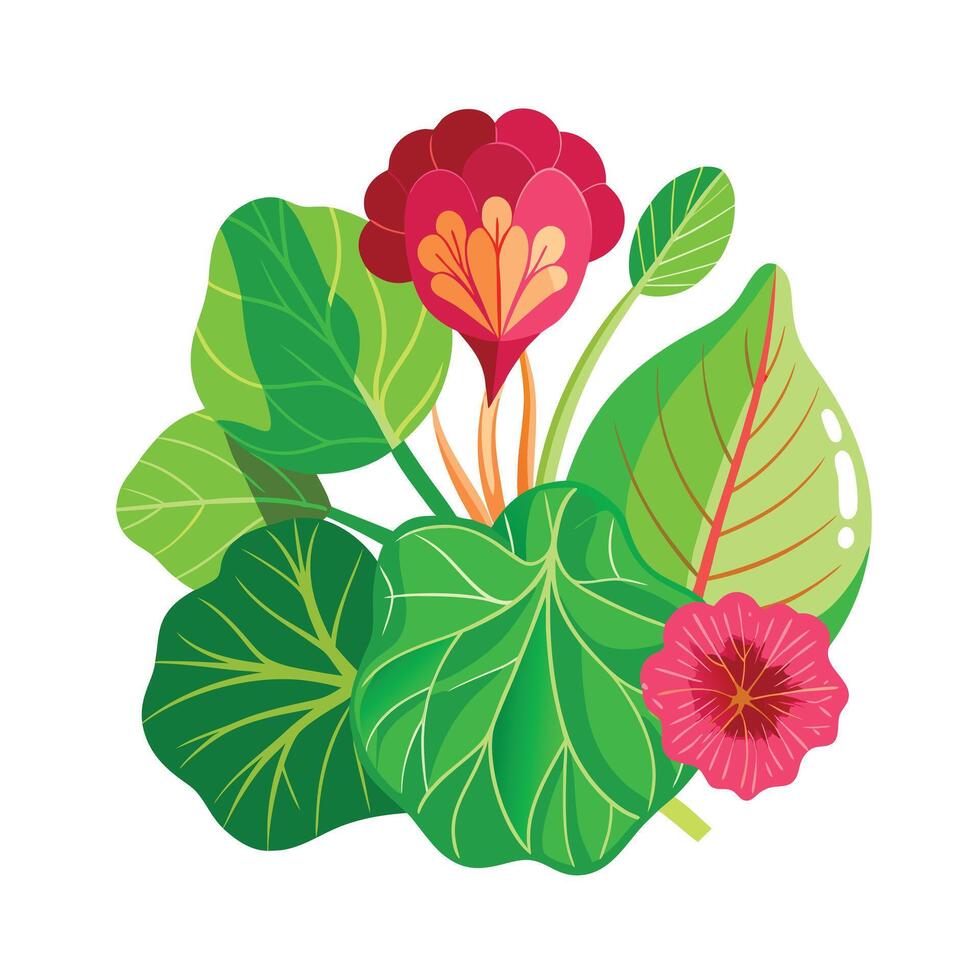 Realistic Beautiful Herbs Illustration vector