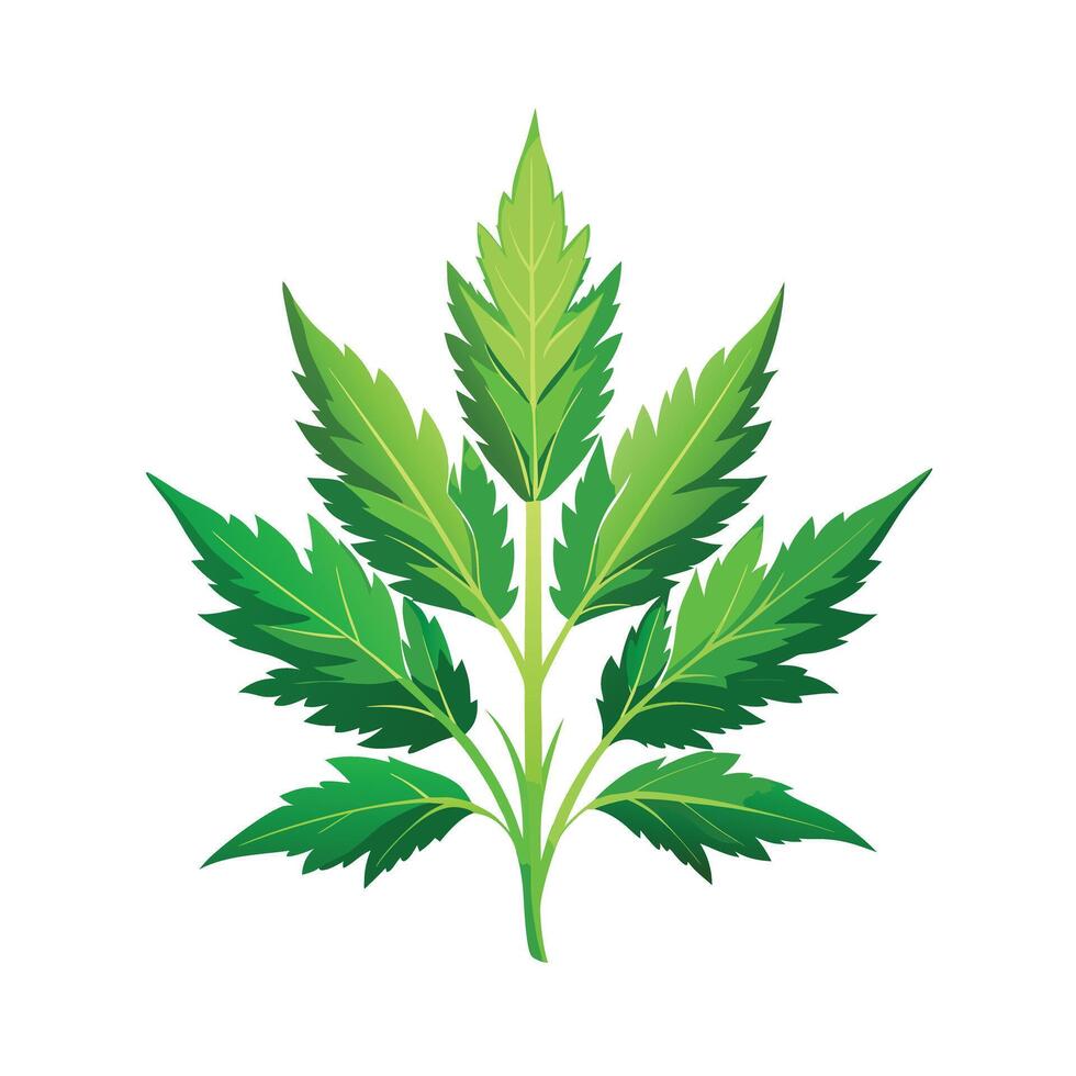 Realistic Beautiful Herbs Illustration vector