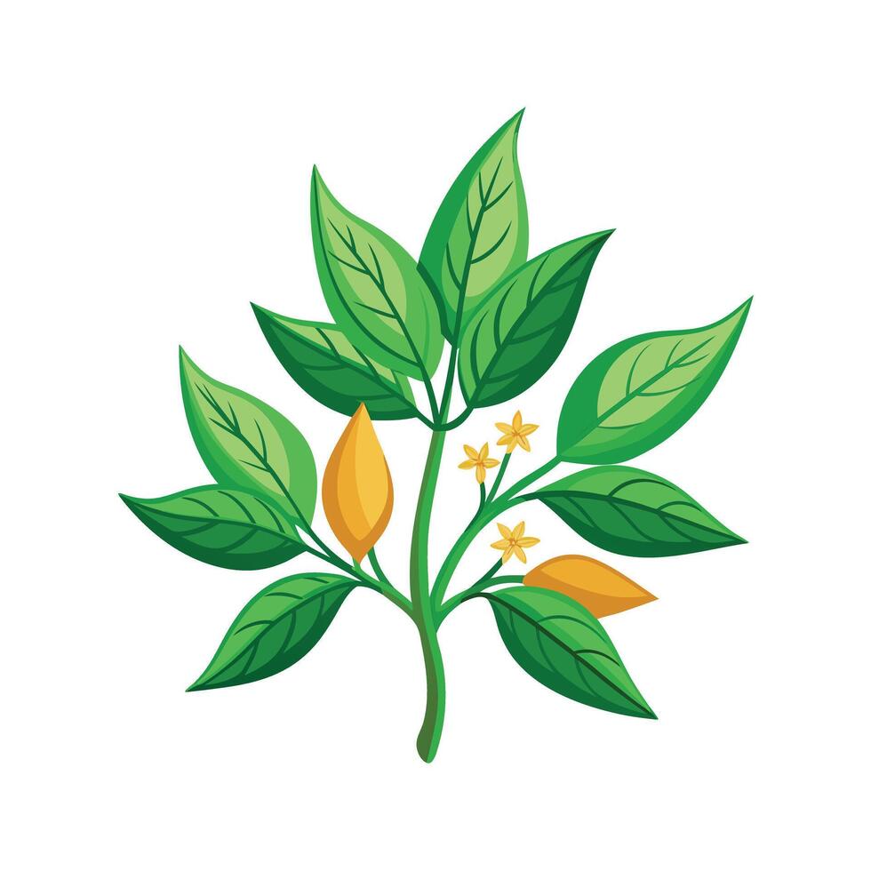 Realistic Beautiful Herbs Illustration vector
