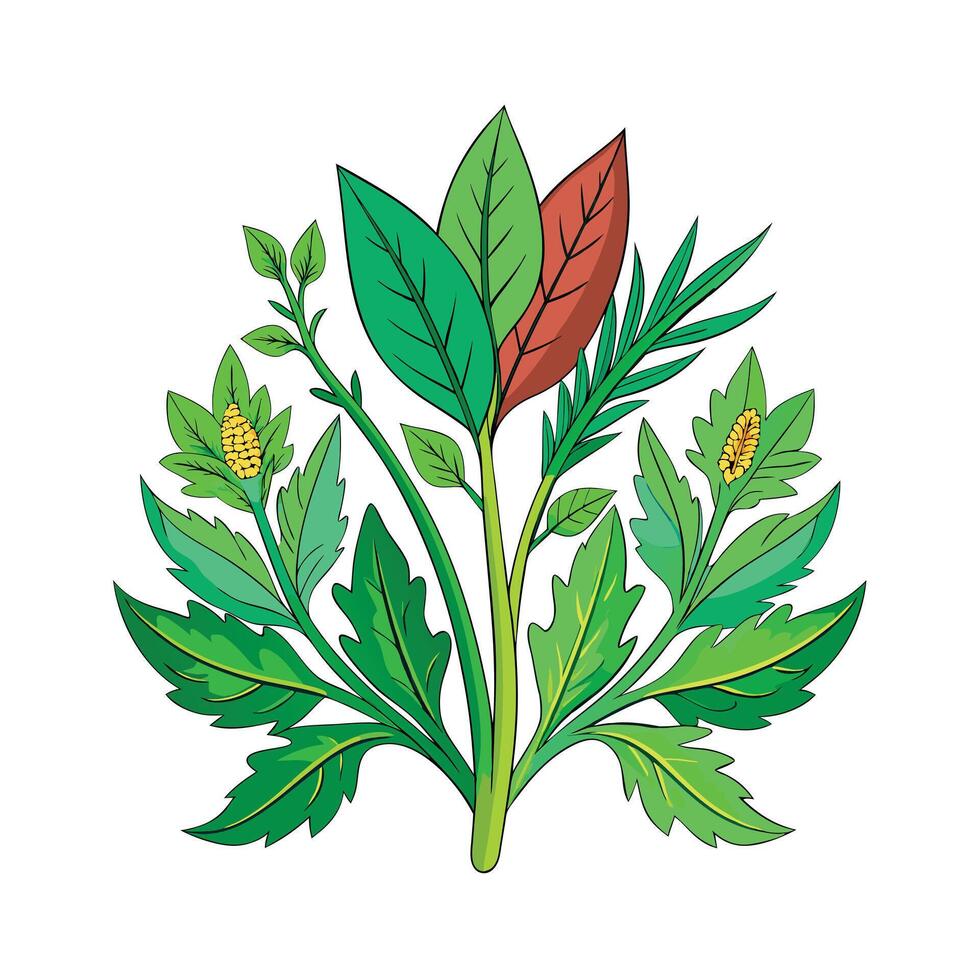 Realistic Beautiful Herbs Illustration vector