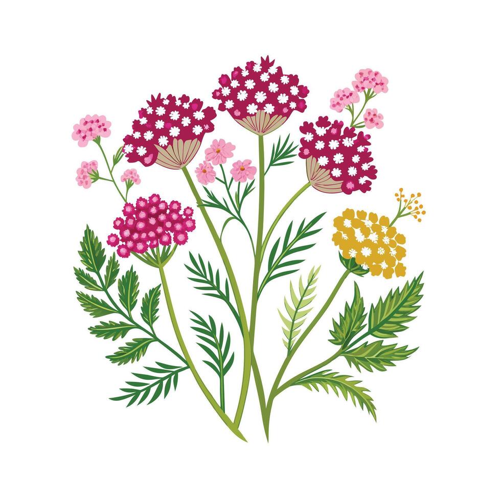Realistic Beautiful Herbs Illustration vector
