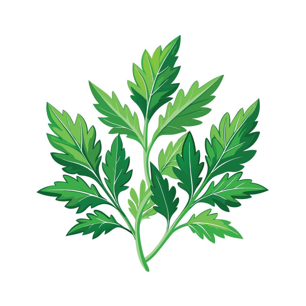 Realistic Beautiful Herbs Illustration vector