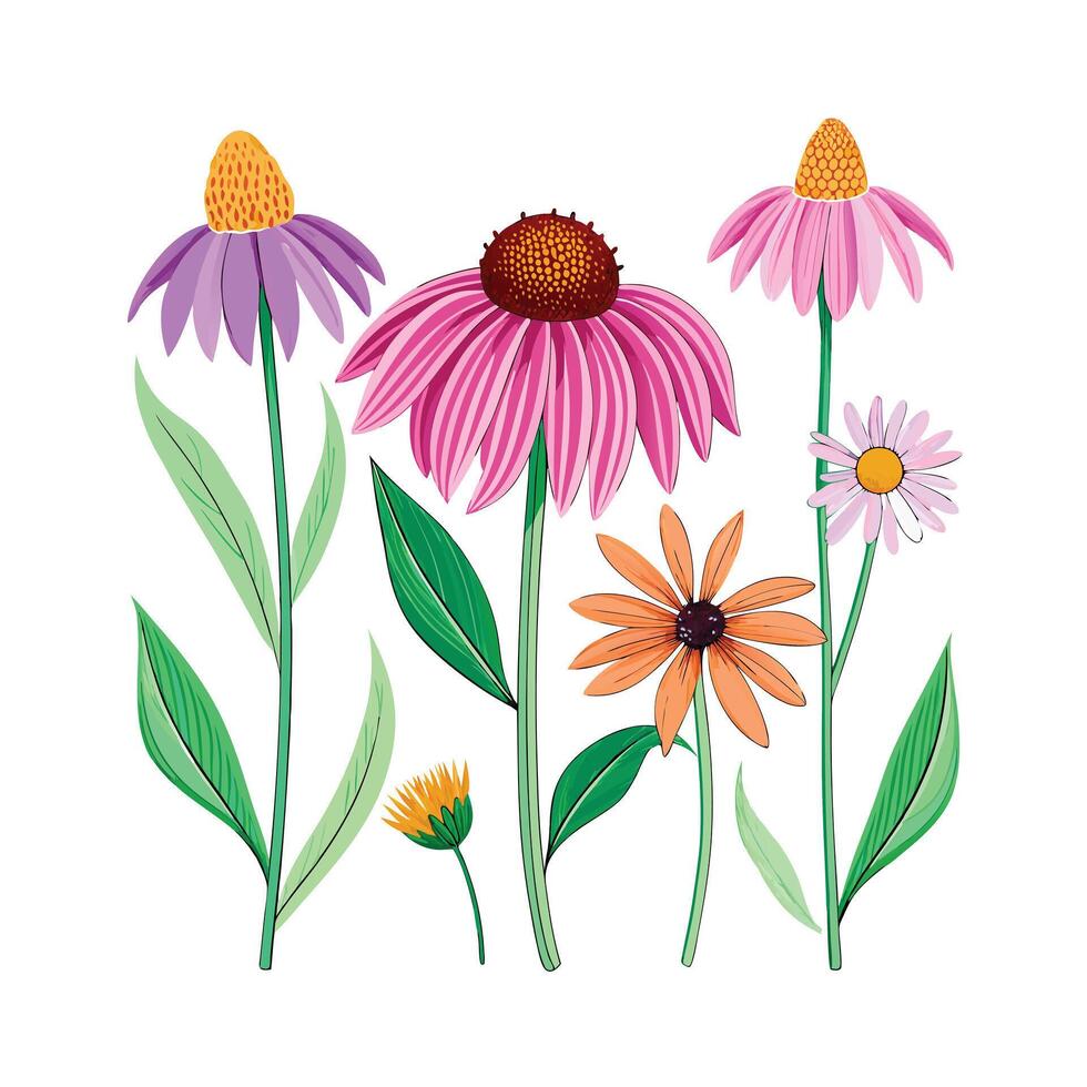 Realistic Beautiful Herbs Illustration vector