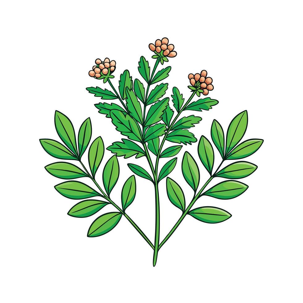 Realistic Beautiful Herbs Illustration vector