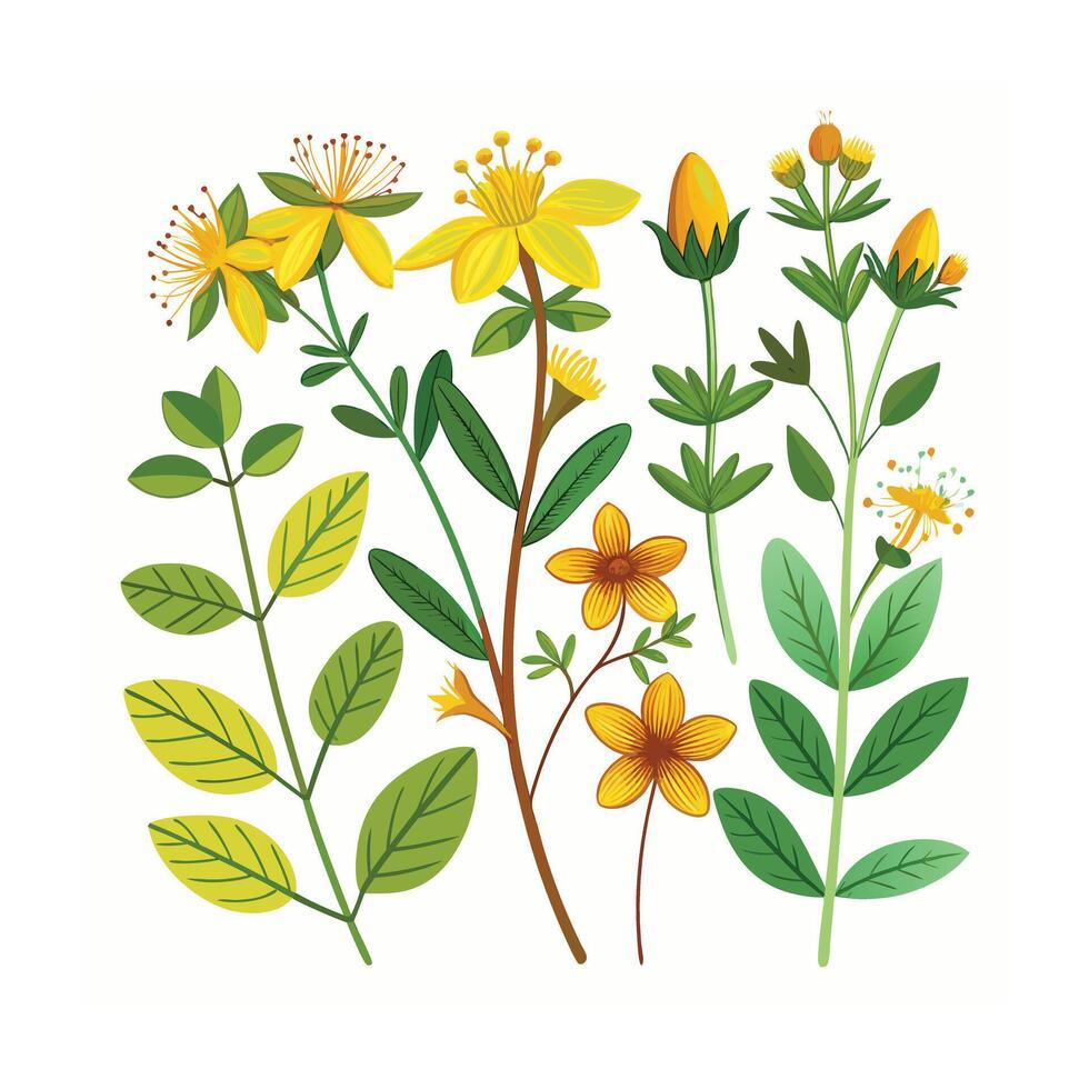 Realistic Beautiful Herbs Illustration vector