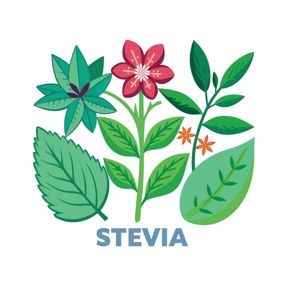 Realistic Beautiful Herbs Illustration vector
