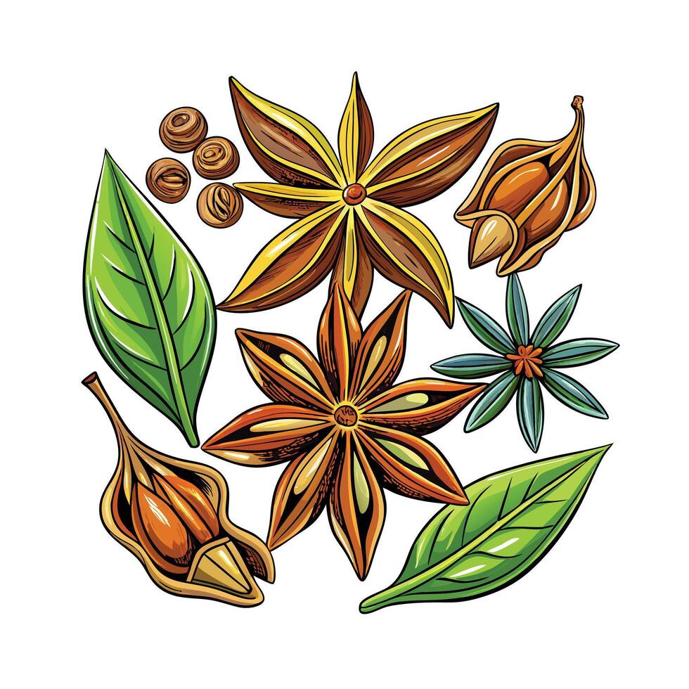 Realistic Beautiful Herbs Illustration vector