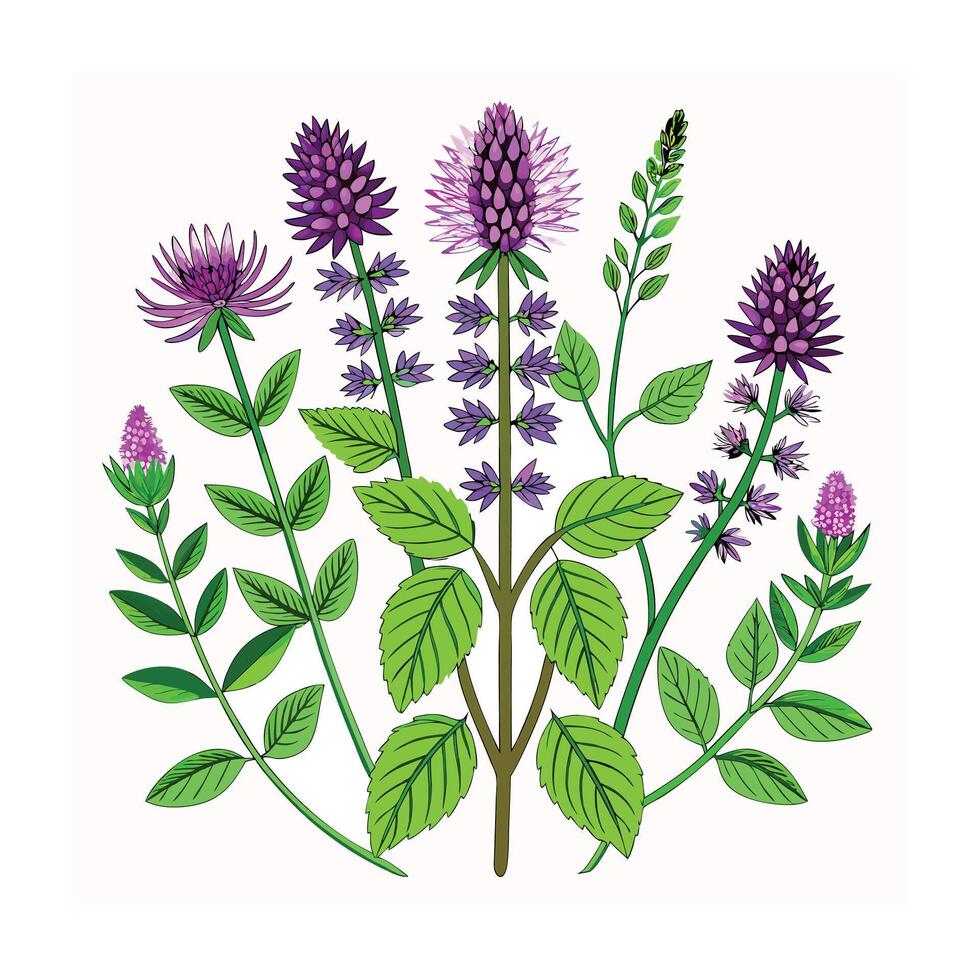 Realistic Beautiful Herbs Illustration vector