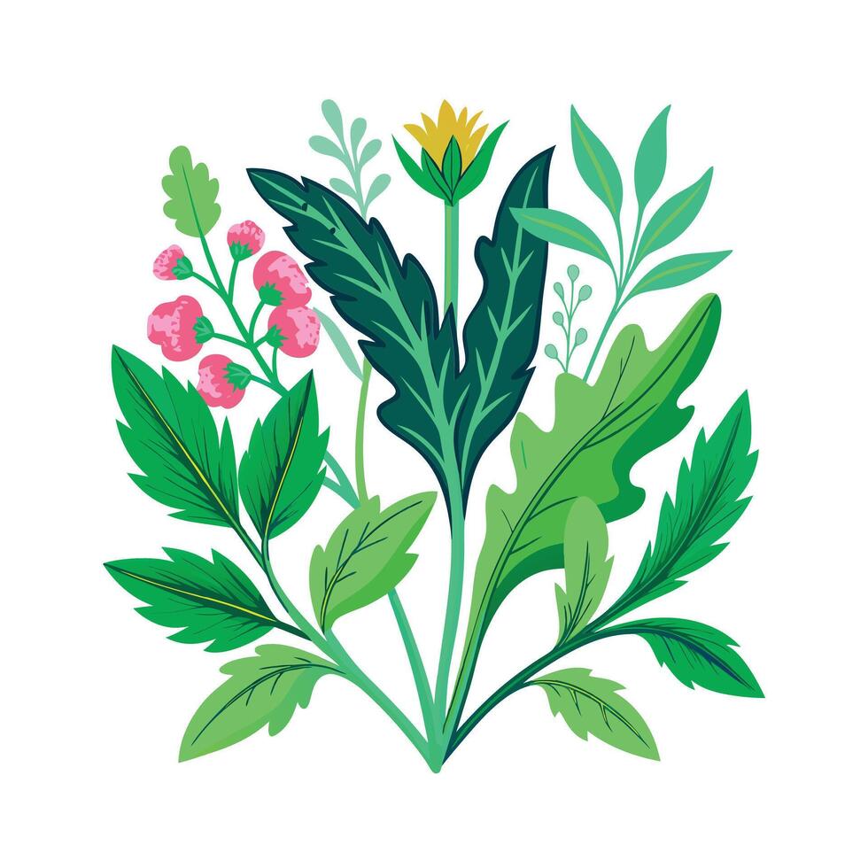 Realistic Beautiful Herbs Illustration vector
