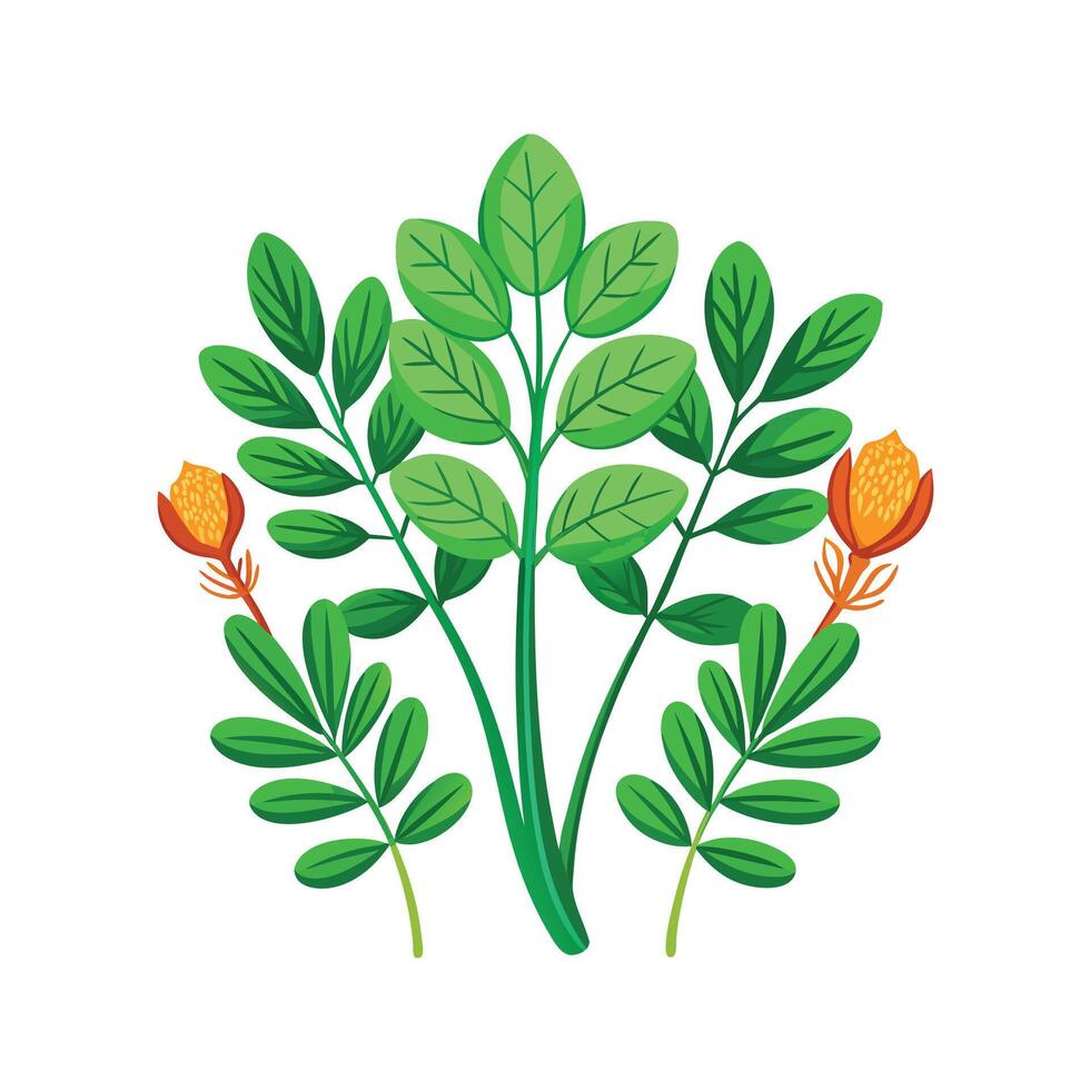 Realistic Beautiful Herbs Illustration vector
