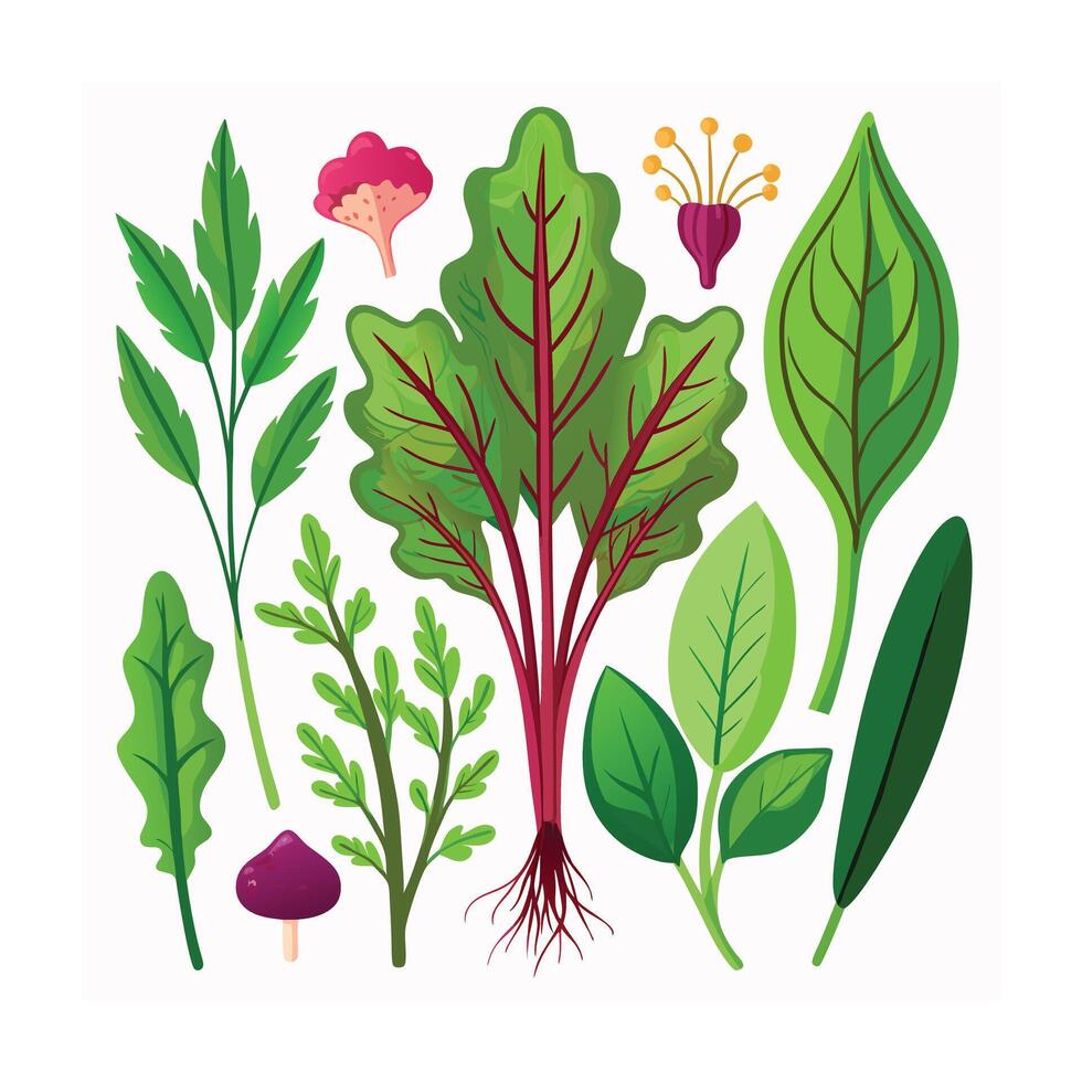 Realistic Beautiful Herbs Illustration vector