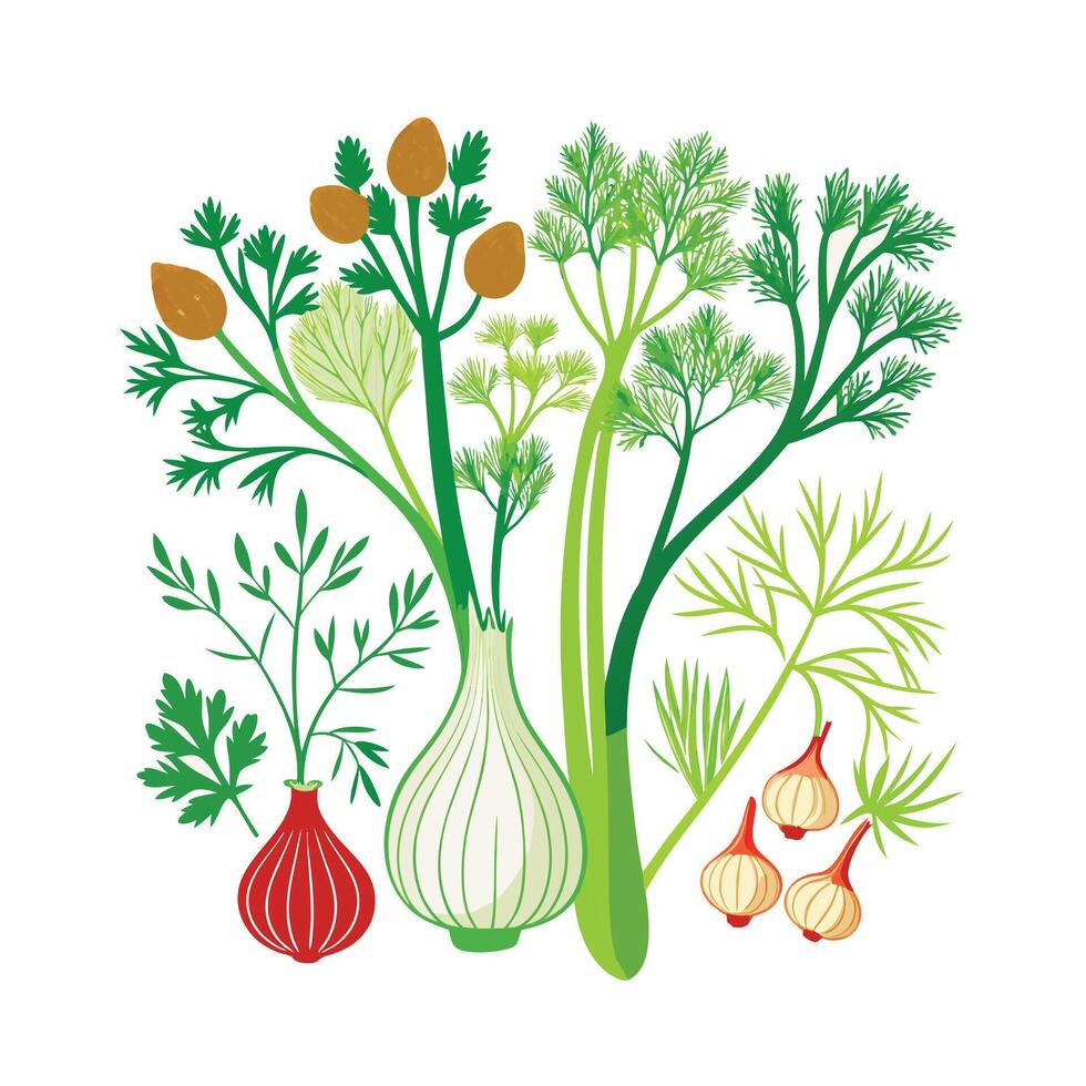 Realistic Beautiful Herbs Illustration vector