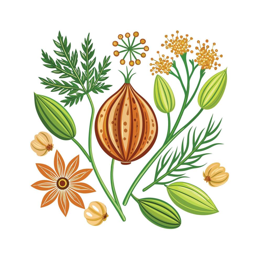 Realistic Beautiful Herbs Illustration vector