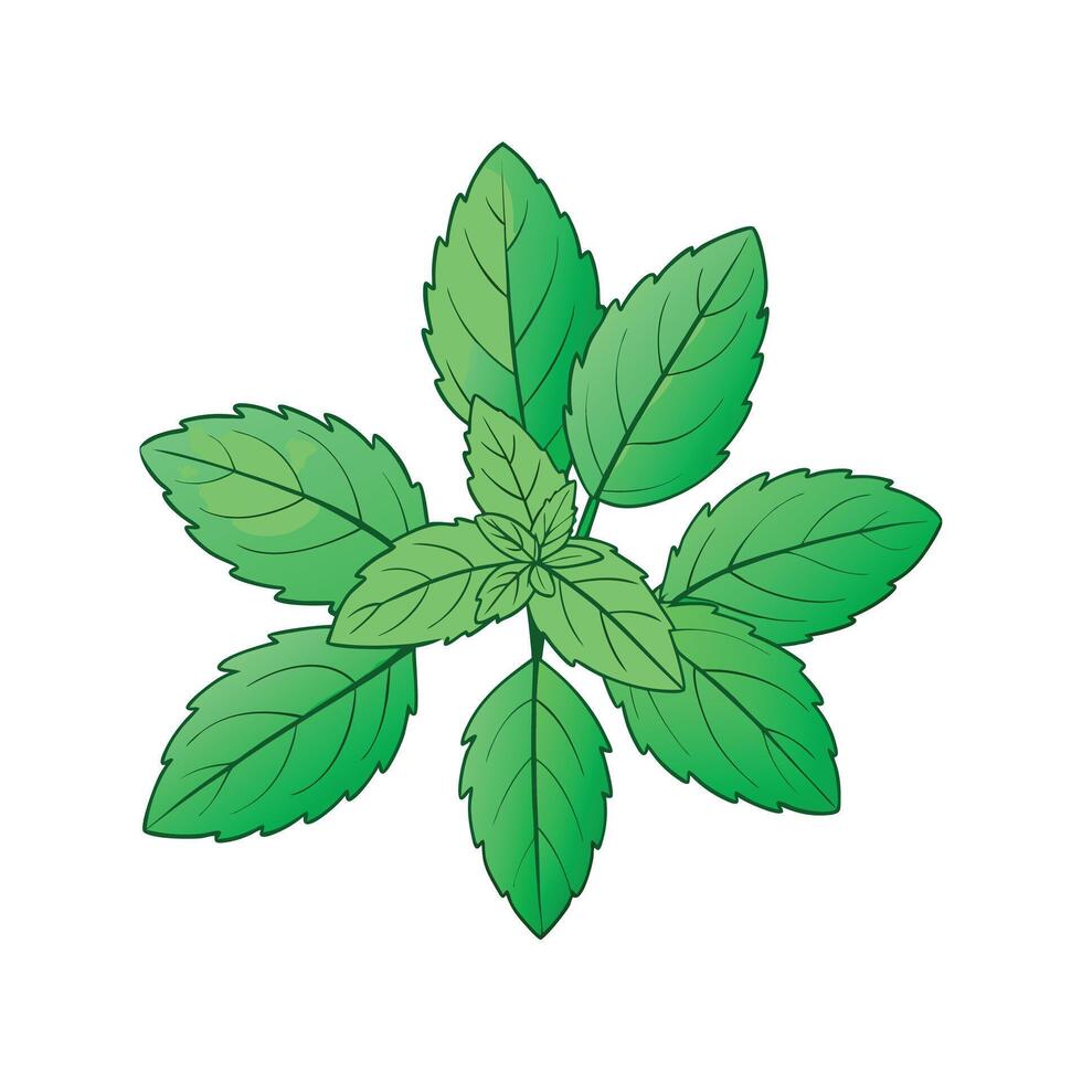 Realistic Beautiful Herbs Illustration vector