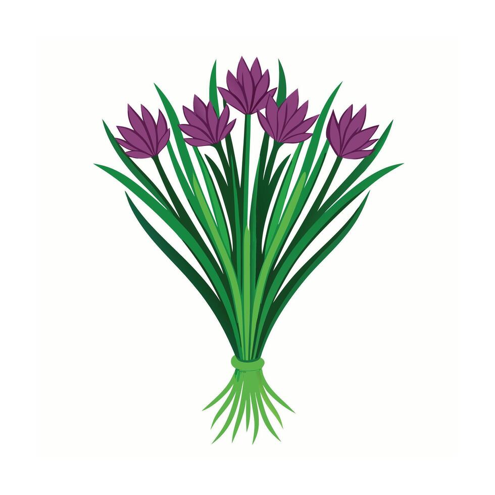 Realistic Beautiful Herbs Illustration vector
