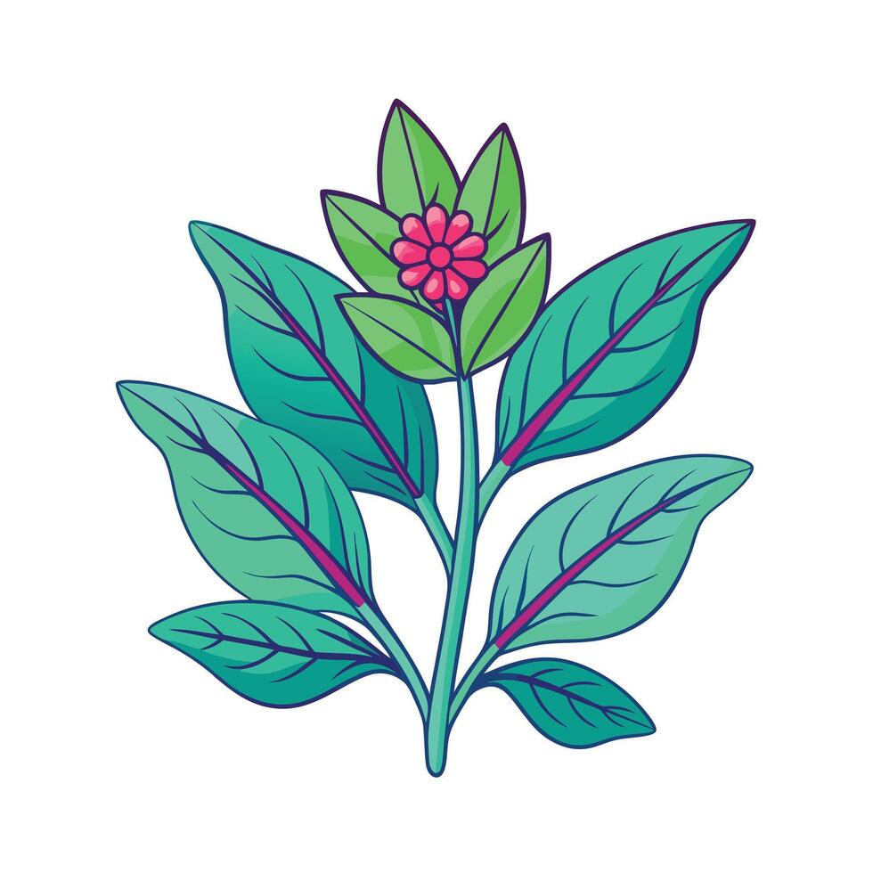 Realistic Beautiful Herbs Illustration vector
