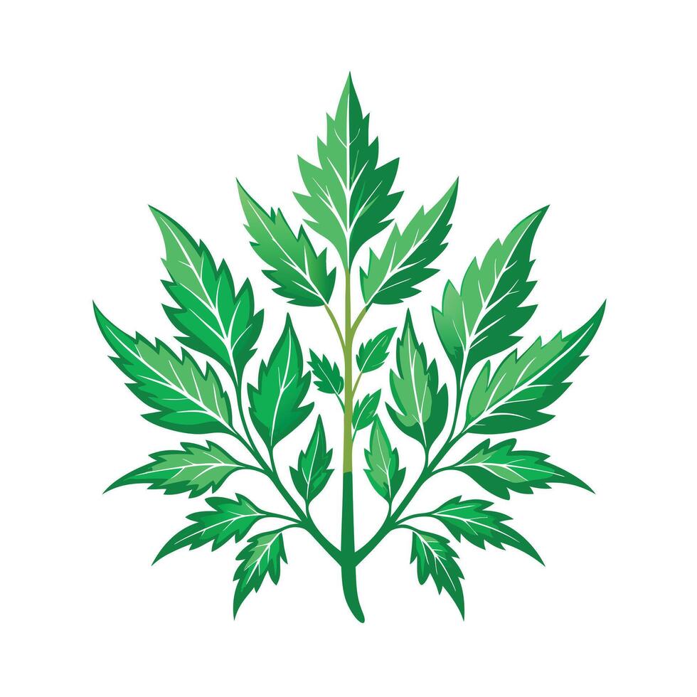 Realistic Beautiful Herbs Illustration vector