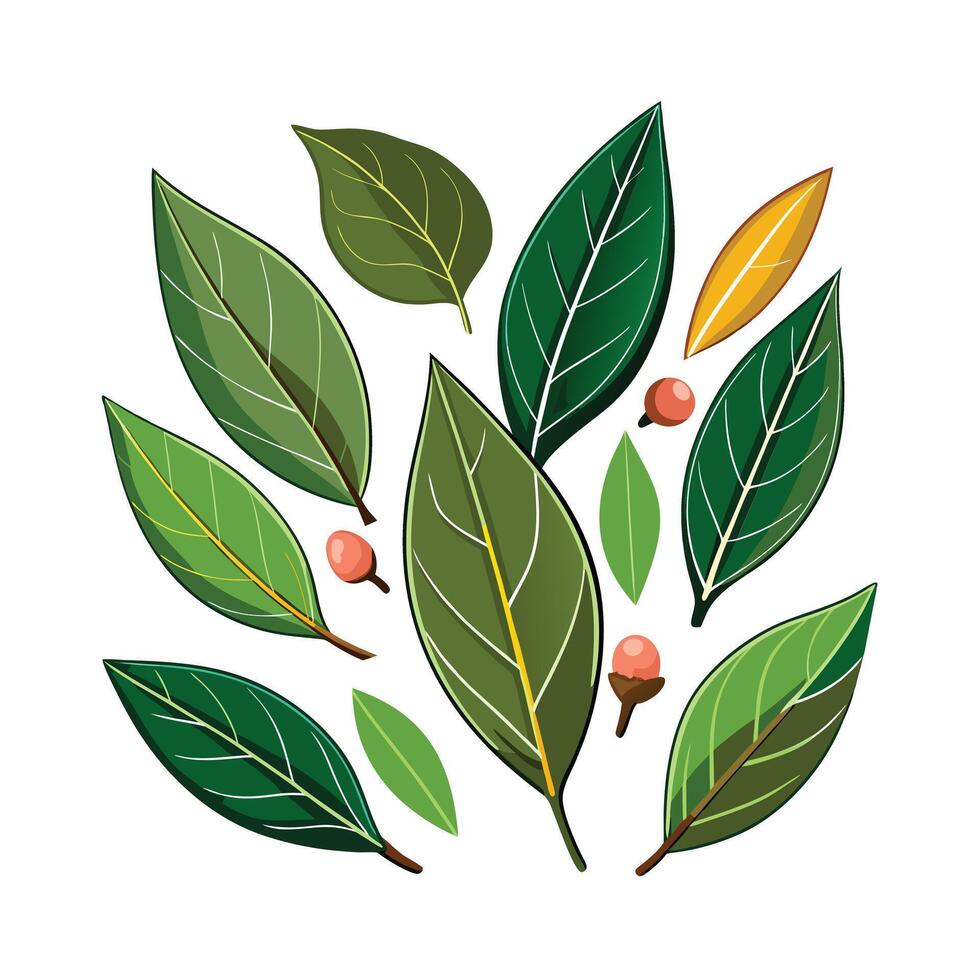 Realistic Beautiful Herbs Illustration vector