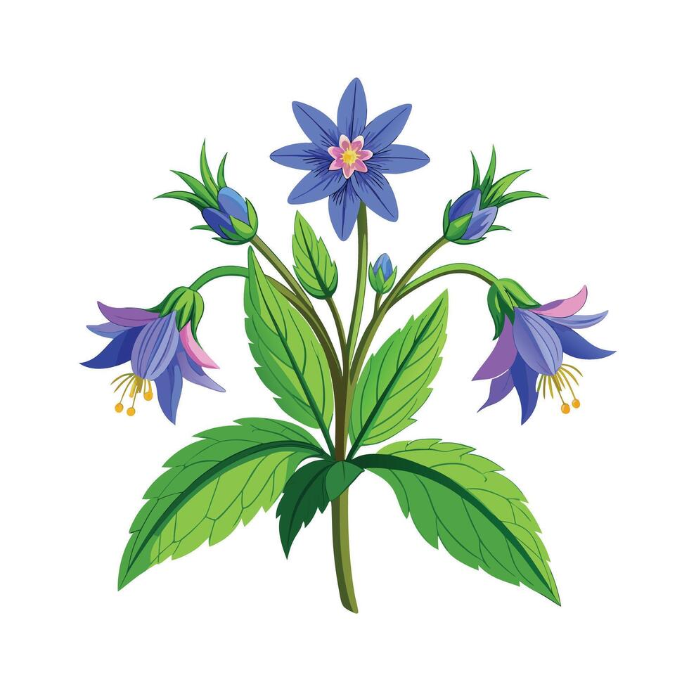 Realistic Beautiful Herbs Illustration vector