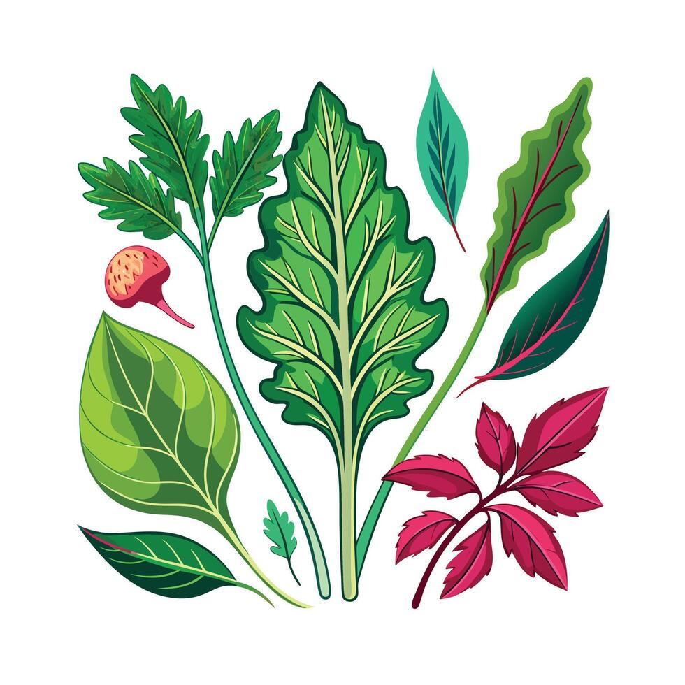 Realistic Beautiful Herbs Illustration vector