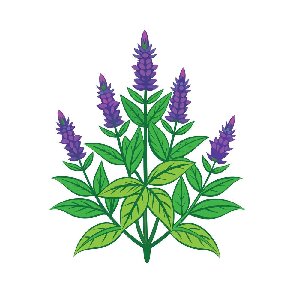 Realistic Beautiful Herbs Illustration vector