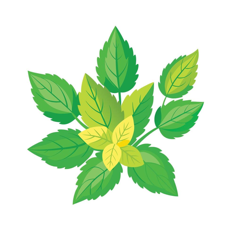 Realistic Beautiful Herbs Illustration vector