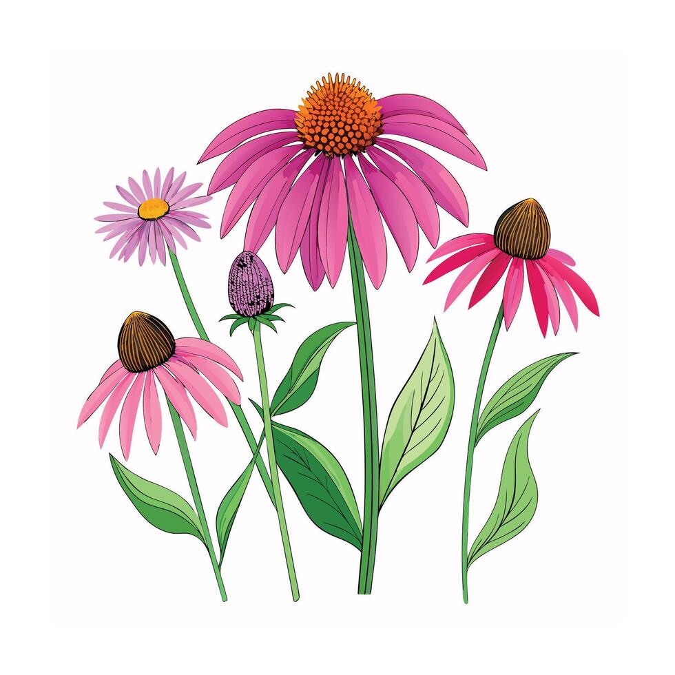 Realistic Beautiful Herbs Illustration vector