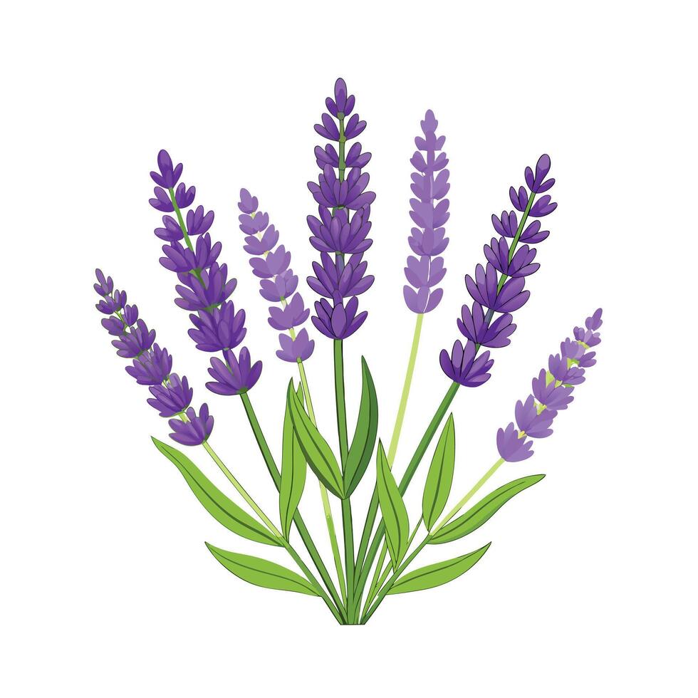 Realistic Beautiful Herbs Illustration vector
