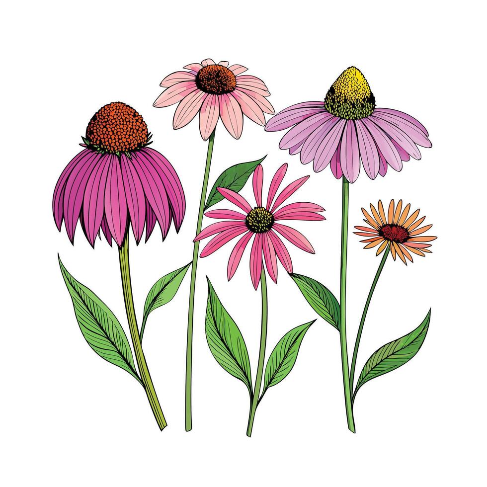 Realistic Beautiful Herbs Illustration vector