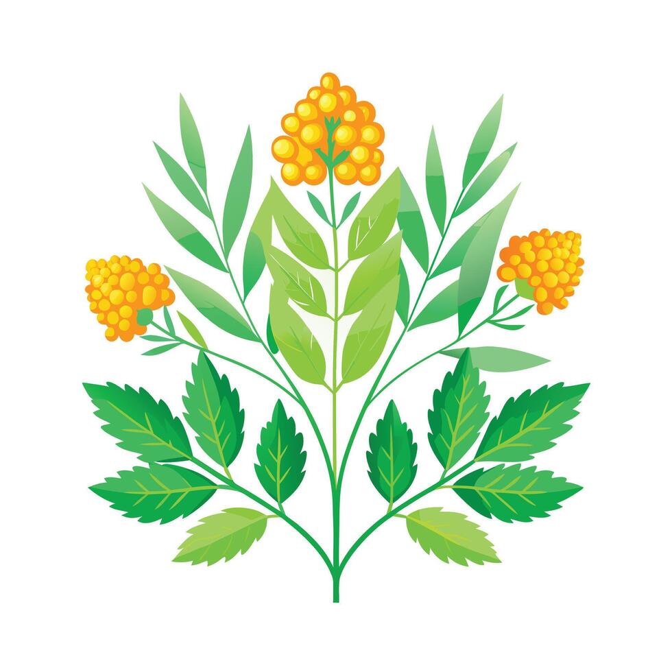 Realistic Beautiful Herbs Illustration vector