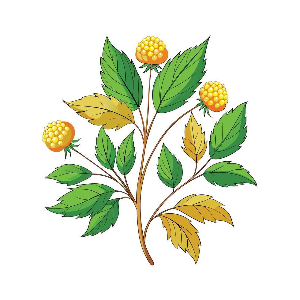 Realistic Beautiful Herbs Illustration vector