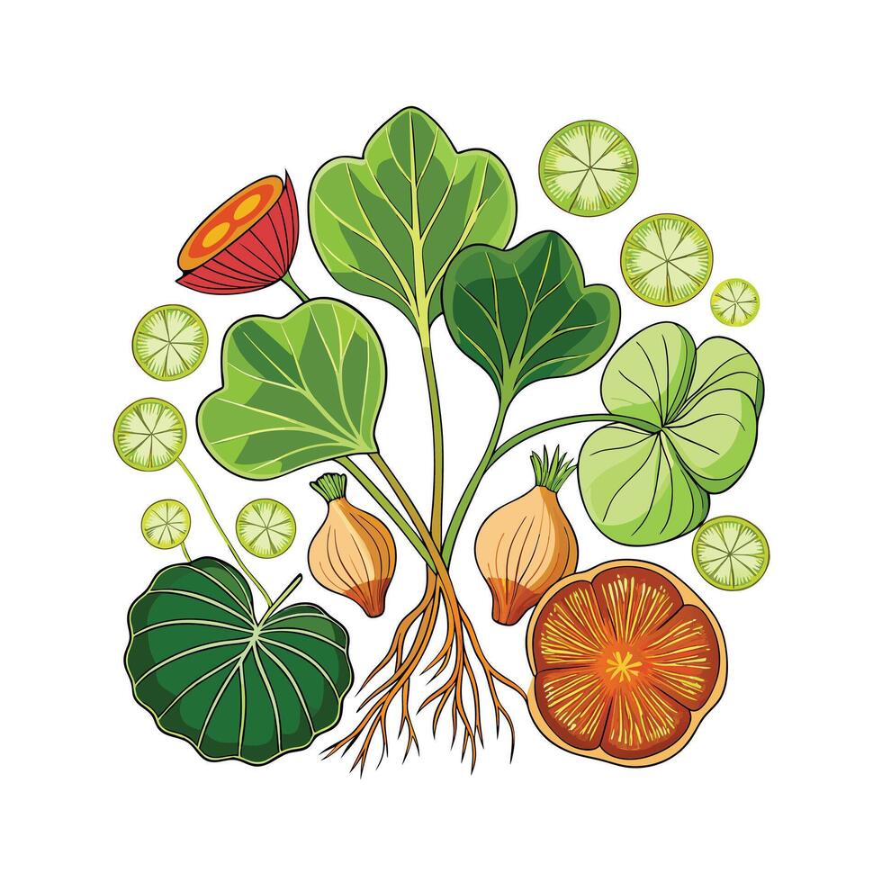 Realistic Beautiful Herbs Illustration vector
