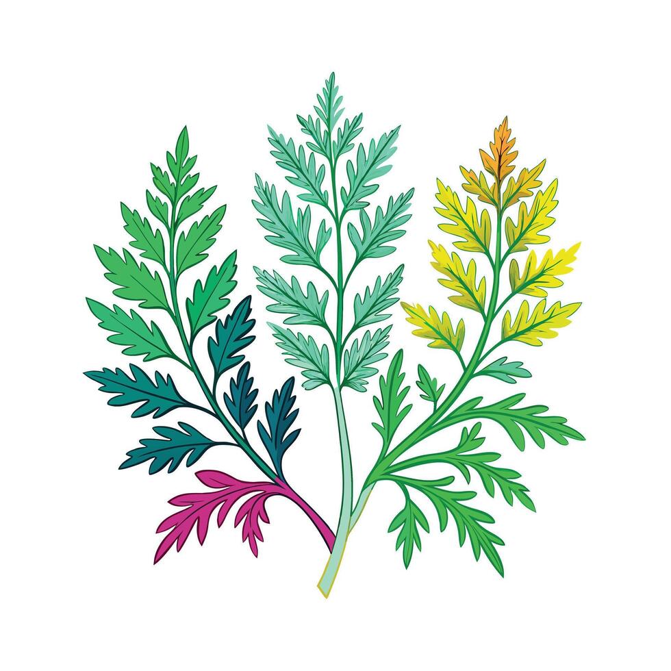 Realistic Beautiful Herbs Illustration vector