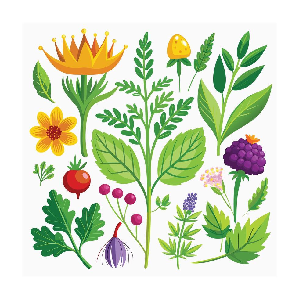 Realistic Beautiful Herbs Illustration vector