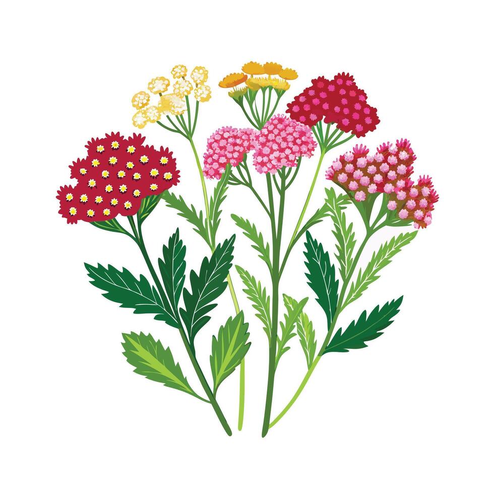 Realistic Beautiful Herbs Illustration vector