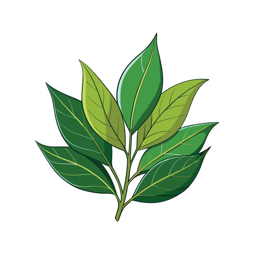 Realistic Beautiful Herbs Illustration vector