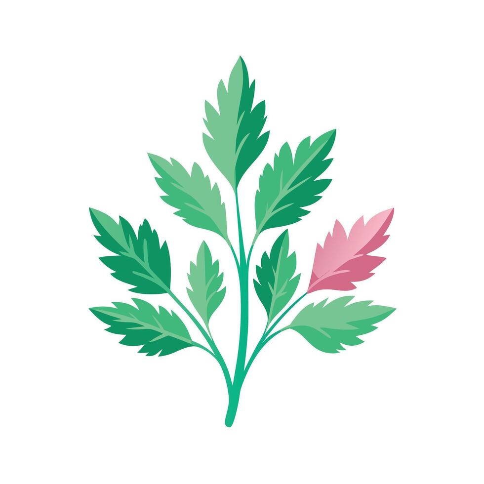 Realistic Beautiful Herbs Illustration vector