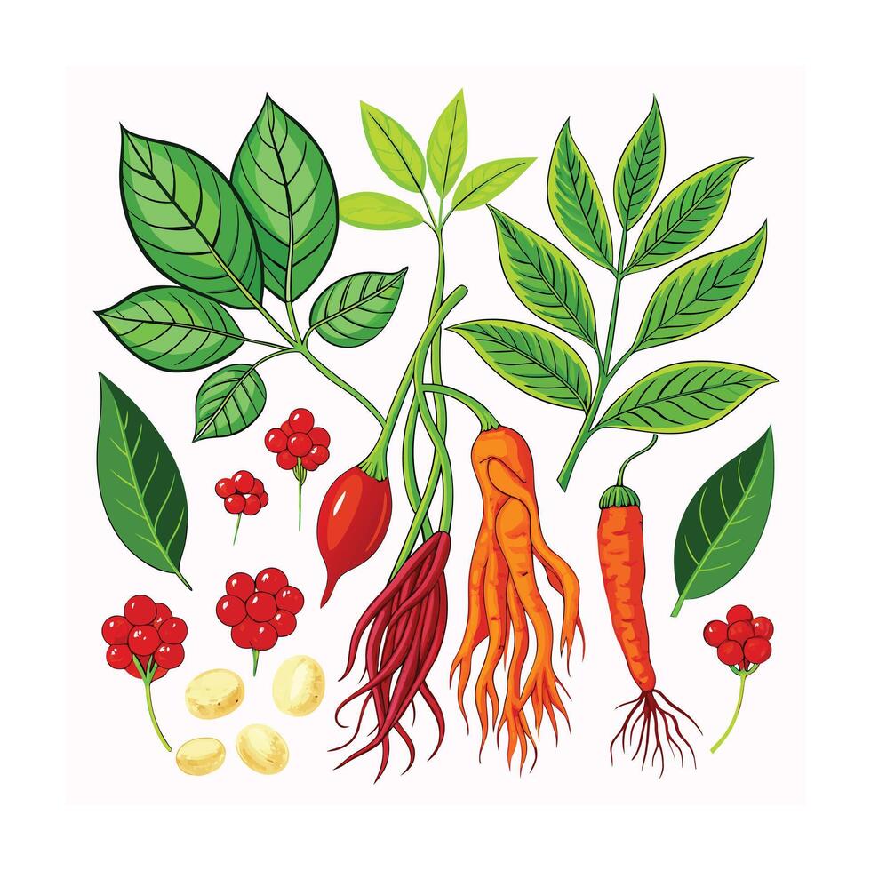 Realistic Beautiful Herbs Illustration vector