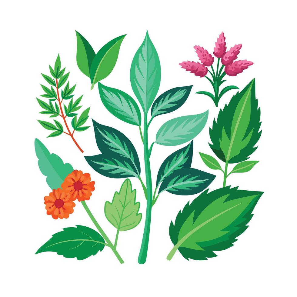 Realistic Beautiful Herbs Illustration vector