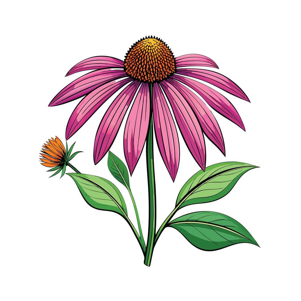 Realistic Beautiful Herbs Illustration vector