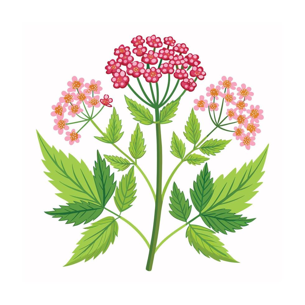 Realistic Beautiful Herbs Illustration vector