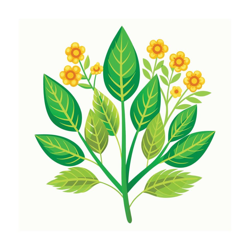 Realistic Beautiful Herbs Illustration vector