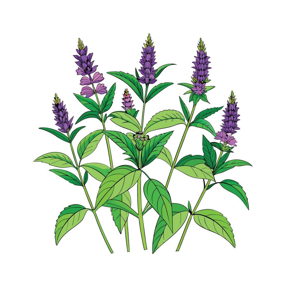 Realistic Beautiful Herbs Illustration vector