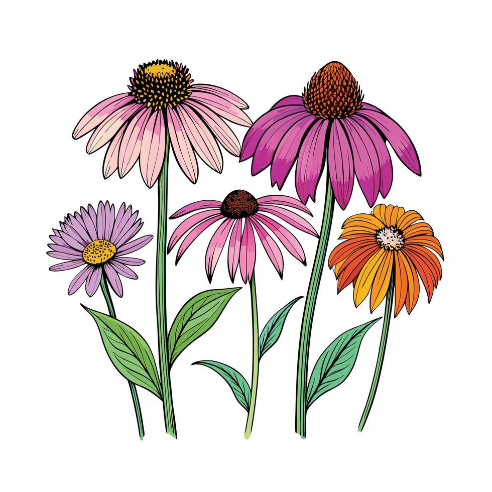 Realistic Beautiful Herbs Illustration vector