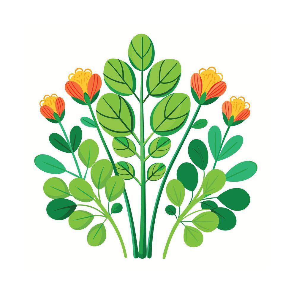Realistic Beautiful Herbs Illustration vector