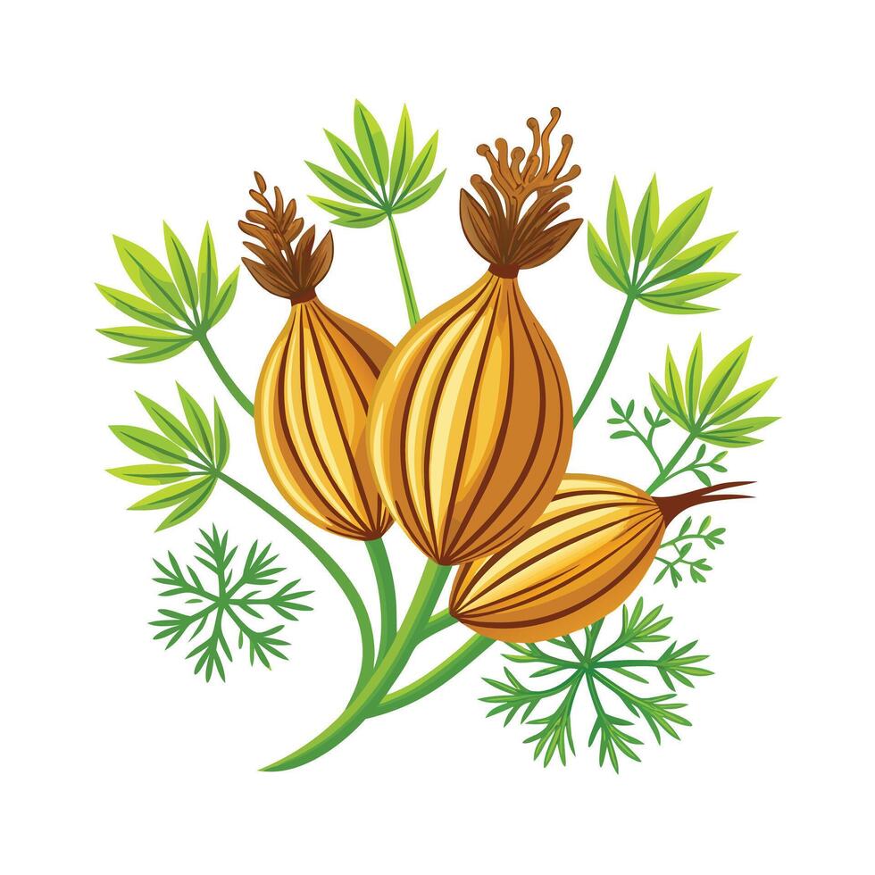 Realistic Beautiful Herbs Illustration vector